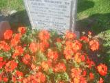 image of grave number 49870